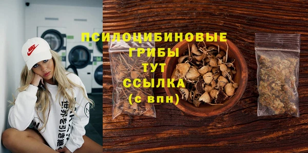 индика Михайлов