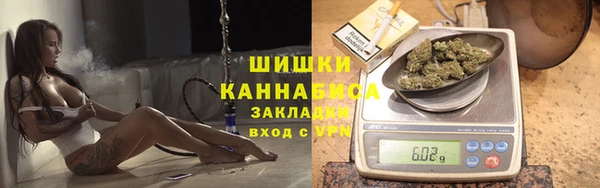 PSILOCYBIN Медногорск