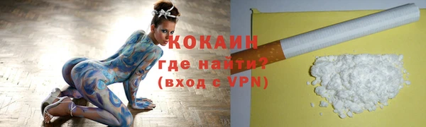 индика Михайлов
