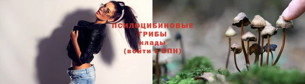 mdpv Медвежьегорск