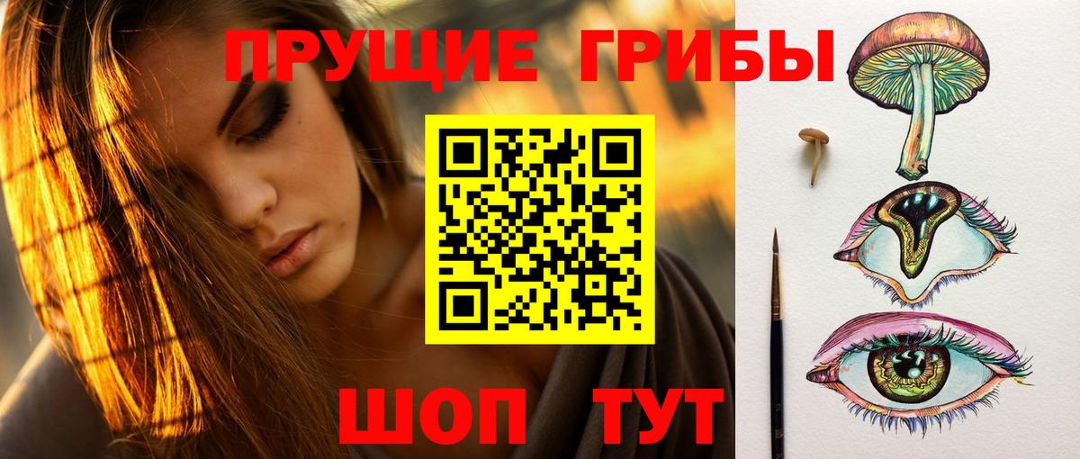 Галлюциногенные грибы мухоморы  Псилоцибиновые грибы Psilocybe  Вход с VPN  Нижний Новгород 